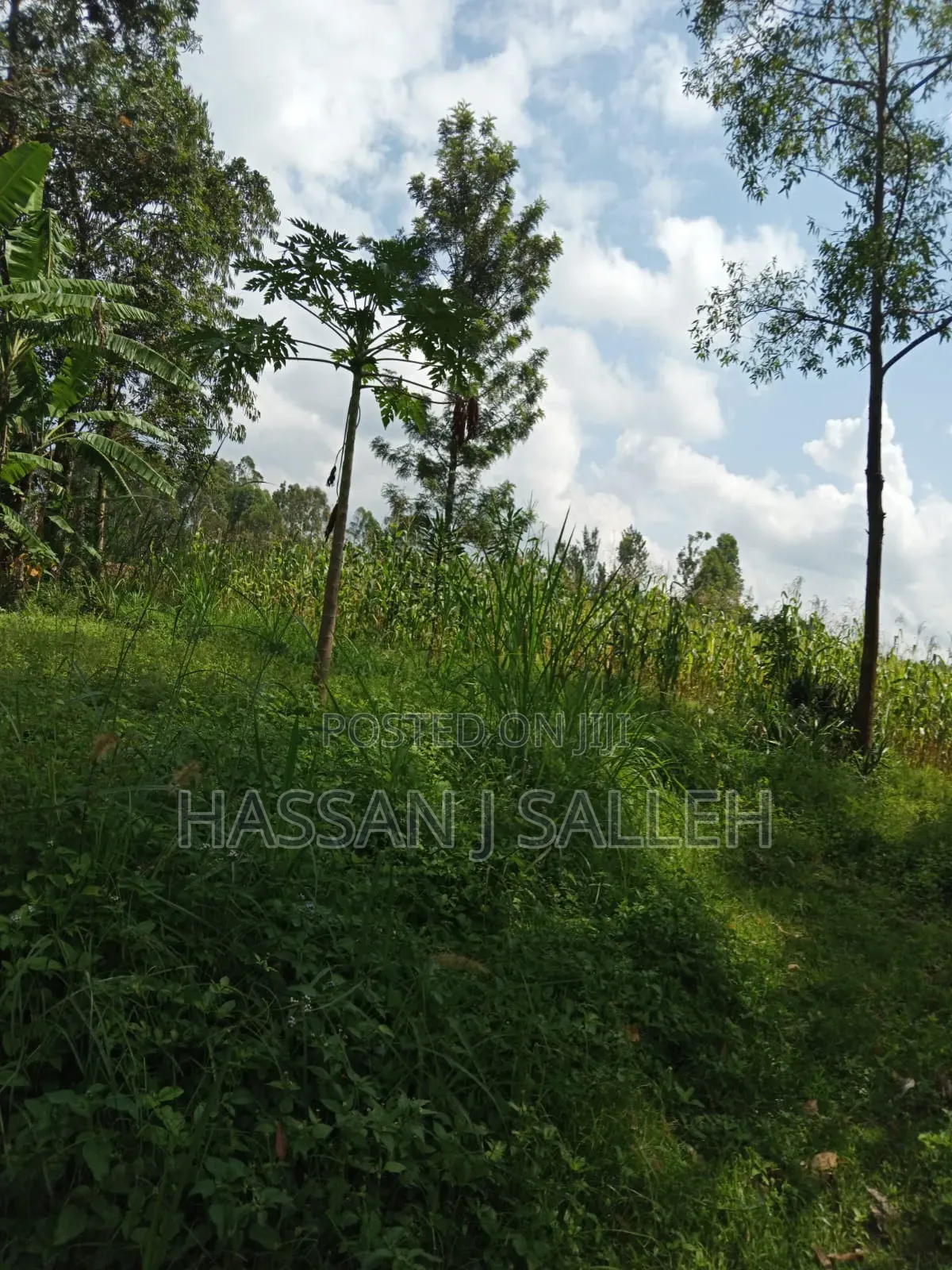 3acres Mumias East for Sale