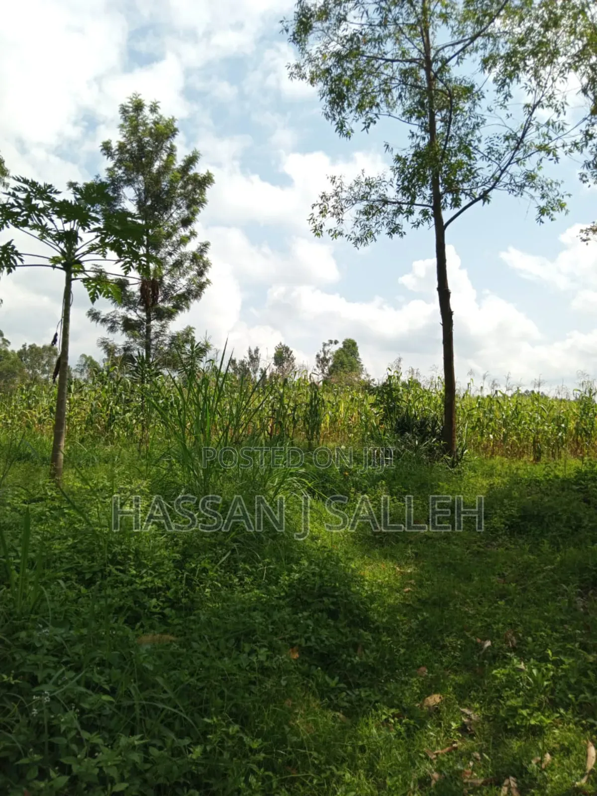 3acres Mumias East for Sale