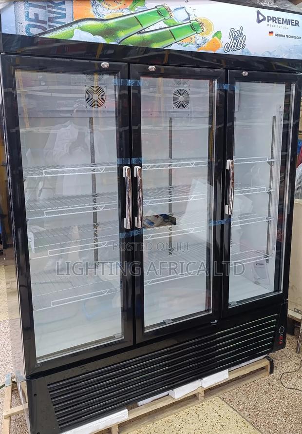 Commercial Large Size Hotel and Business Fun Cooler Freezer