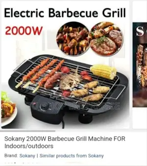 Electric Barbecue Grill