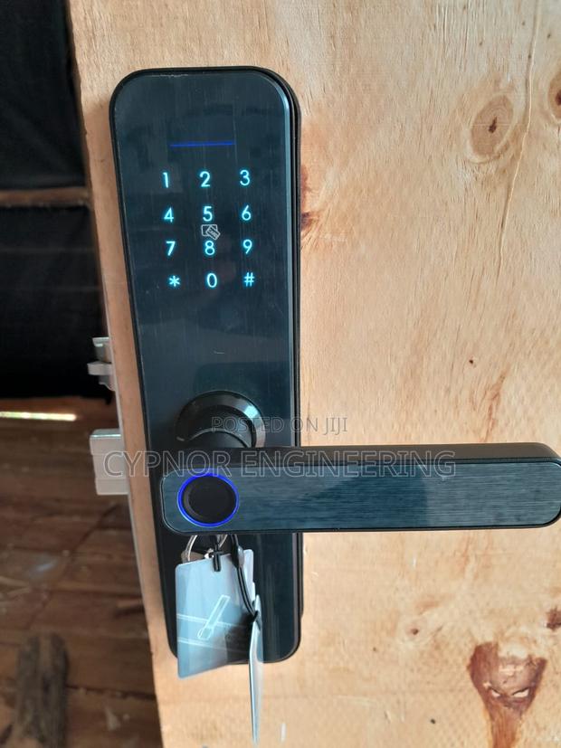 Wifi Enabled Smart Access Tuya Wifi Waterproof Electric Lock - main view