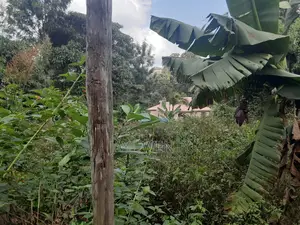 Plot for Sale