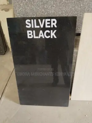 Silver Black/Local Black Granite 2450×620mm