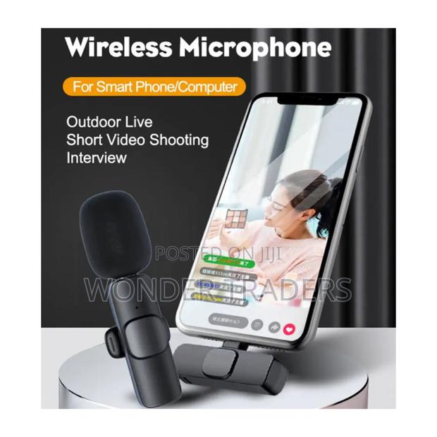 Wireless Microphone, Microphone - main view
