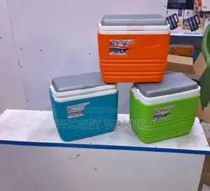 Portable Cooler Box 10l