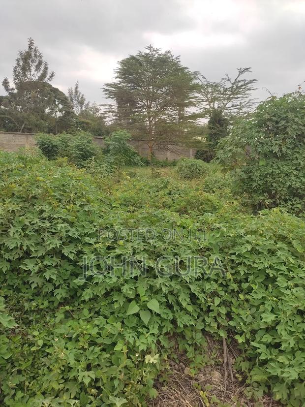 1/4 Acre Prime Property Ruai - thumbnail 3