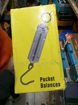 Highly Available Pocket Hanging Scale