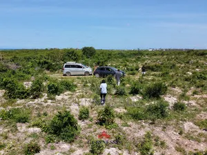 Malindi Casuarina Road Prime Plots for Sale