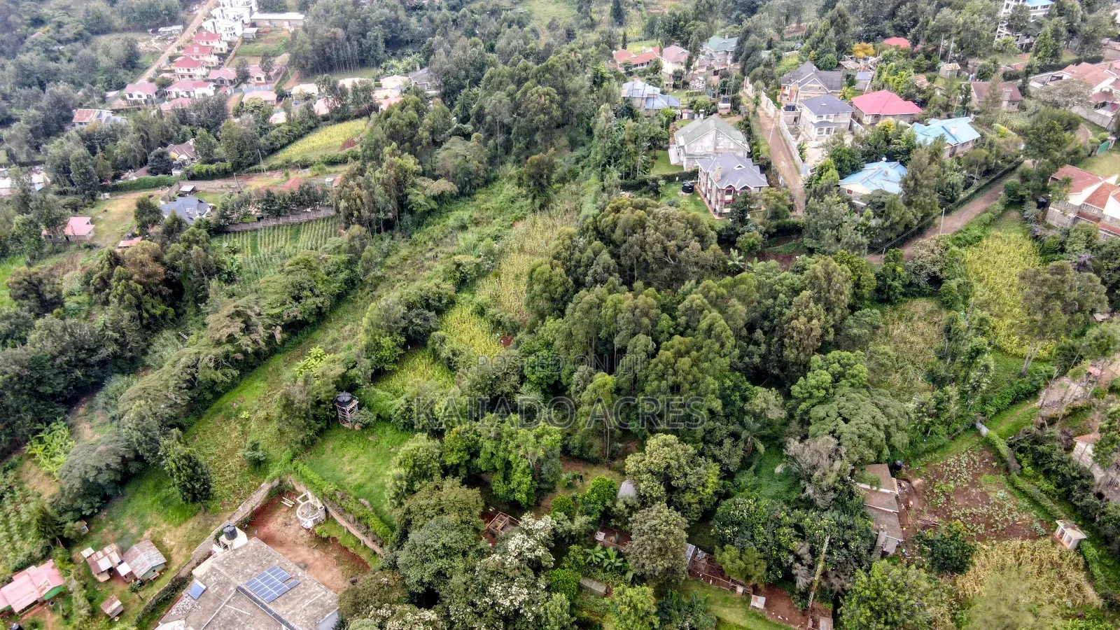 Prime 1/4 Acre Muthaiga,Ngong at 10m