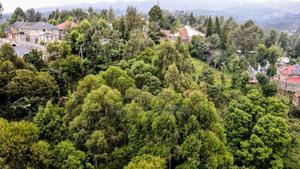 Prime 1/4 Acre Muthaiga,Ngong at 10m - main view