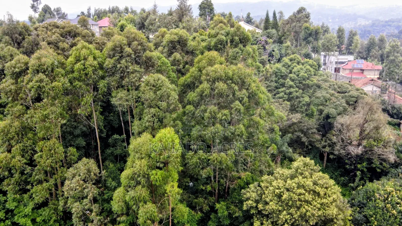 Prime 1/4 Acre Muthaiga,Ngong at 10m