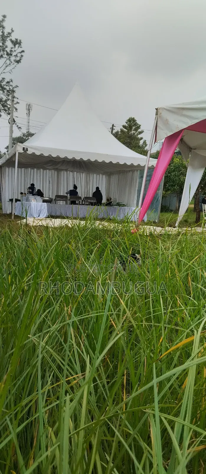 50 Seater Tent