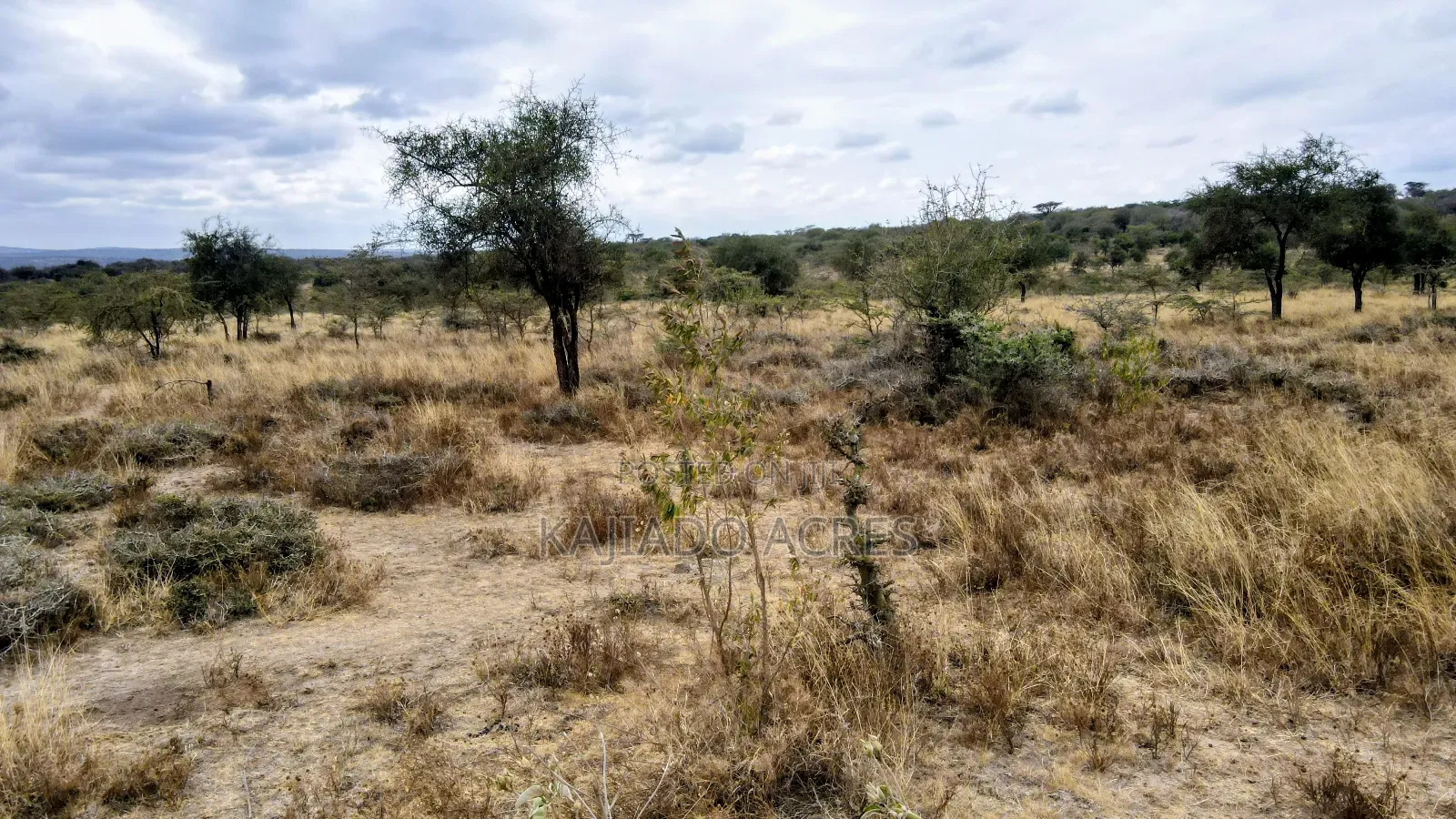 8 Acres Imaroro at 600,000kshs Per Acre