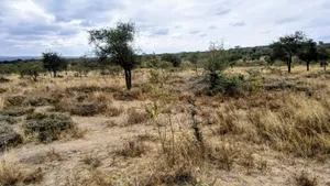8 Acres Imaroro at 600,000kshs Per Acre