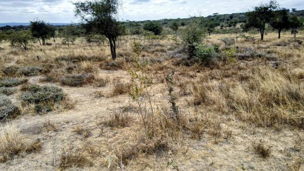 8 Acres Imaroro at 600,000kshs Per Acre - thumbnail 4