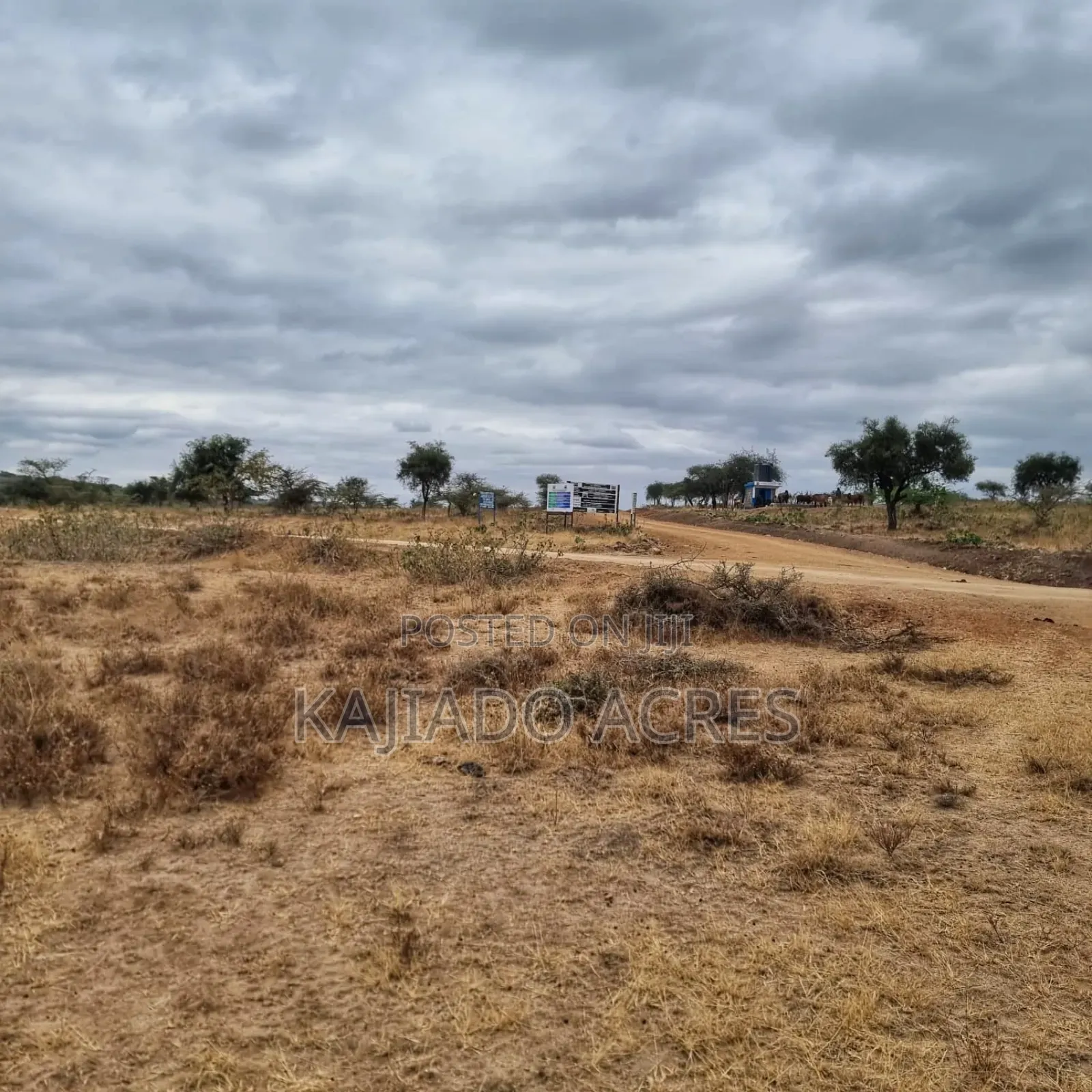 8 Acres Imaroro at 600,000kshs Per Acre