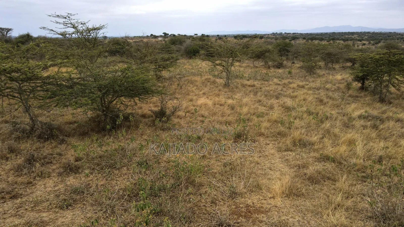 8 Acres Imaroro at 600,000kshs Per Acre