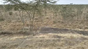 10 Acres Touching Imaroro Konza Road at 850,000ksh Per Acre