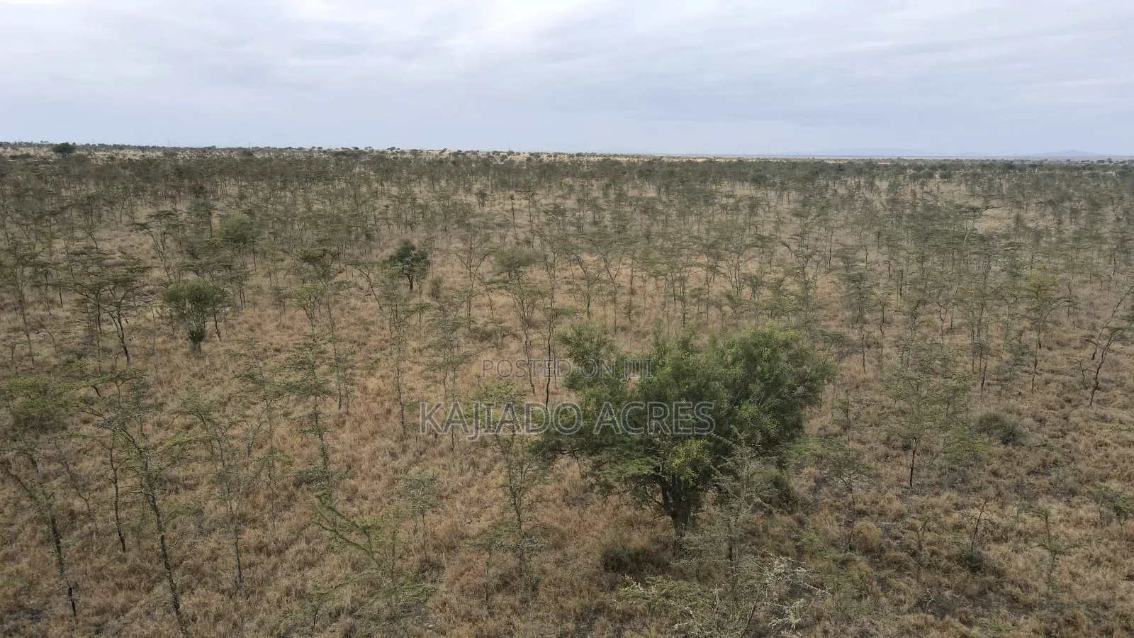10 Acres Touching Imaroro Konza Road at 850,000ksh Per Acre