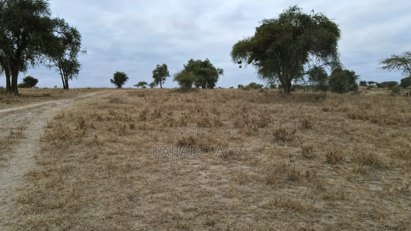 40 and 100 Acres Imaroro- Konza Road