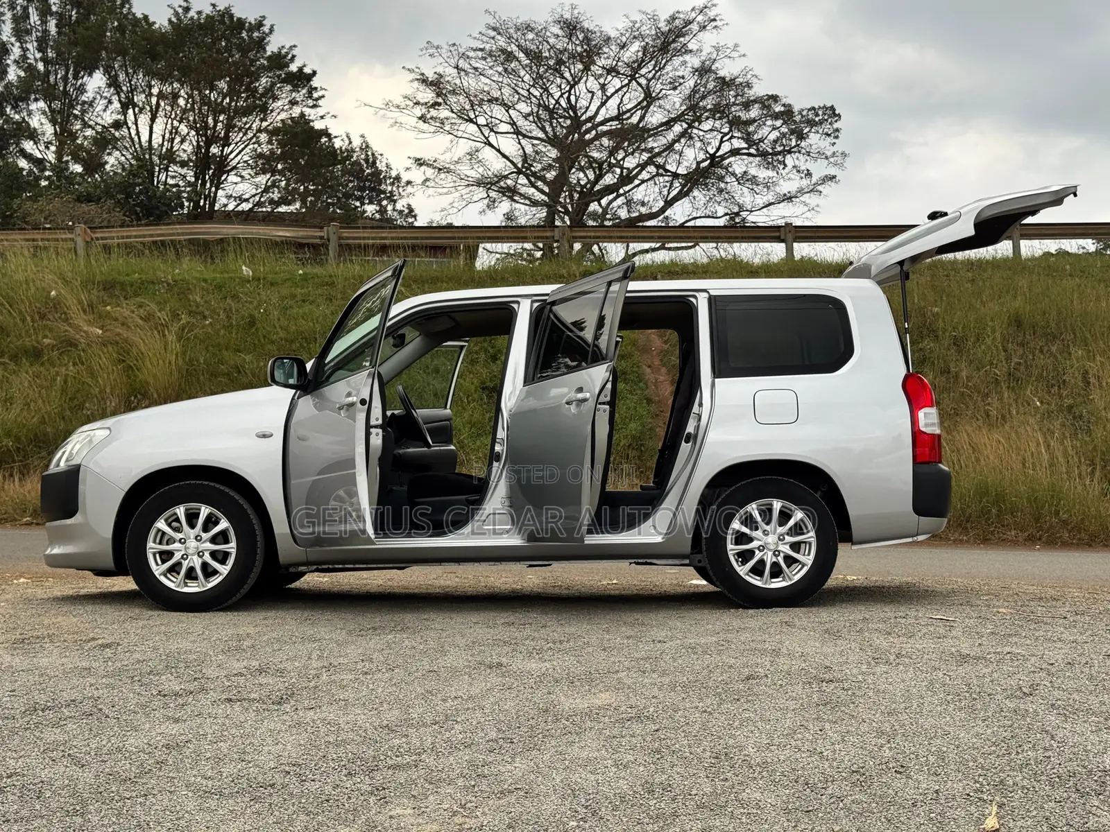 Toyota Probox 2018 Silver