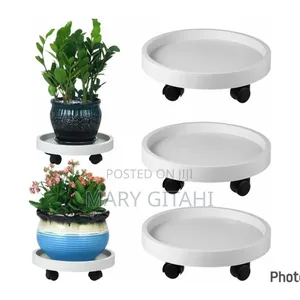 Heavy Duty Multipurpose / Gas Trolley With Handle