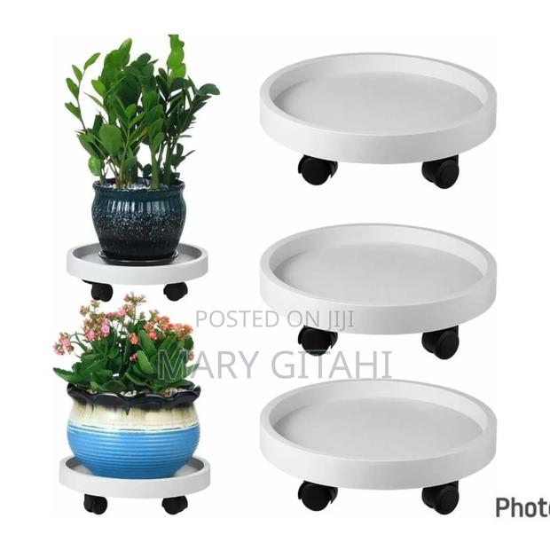 Heavy Duty Multipurpose / Gas Trolley With Handle