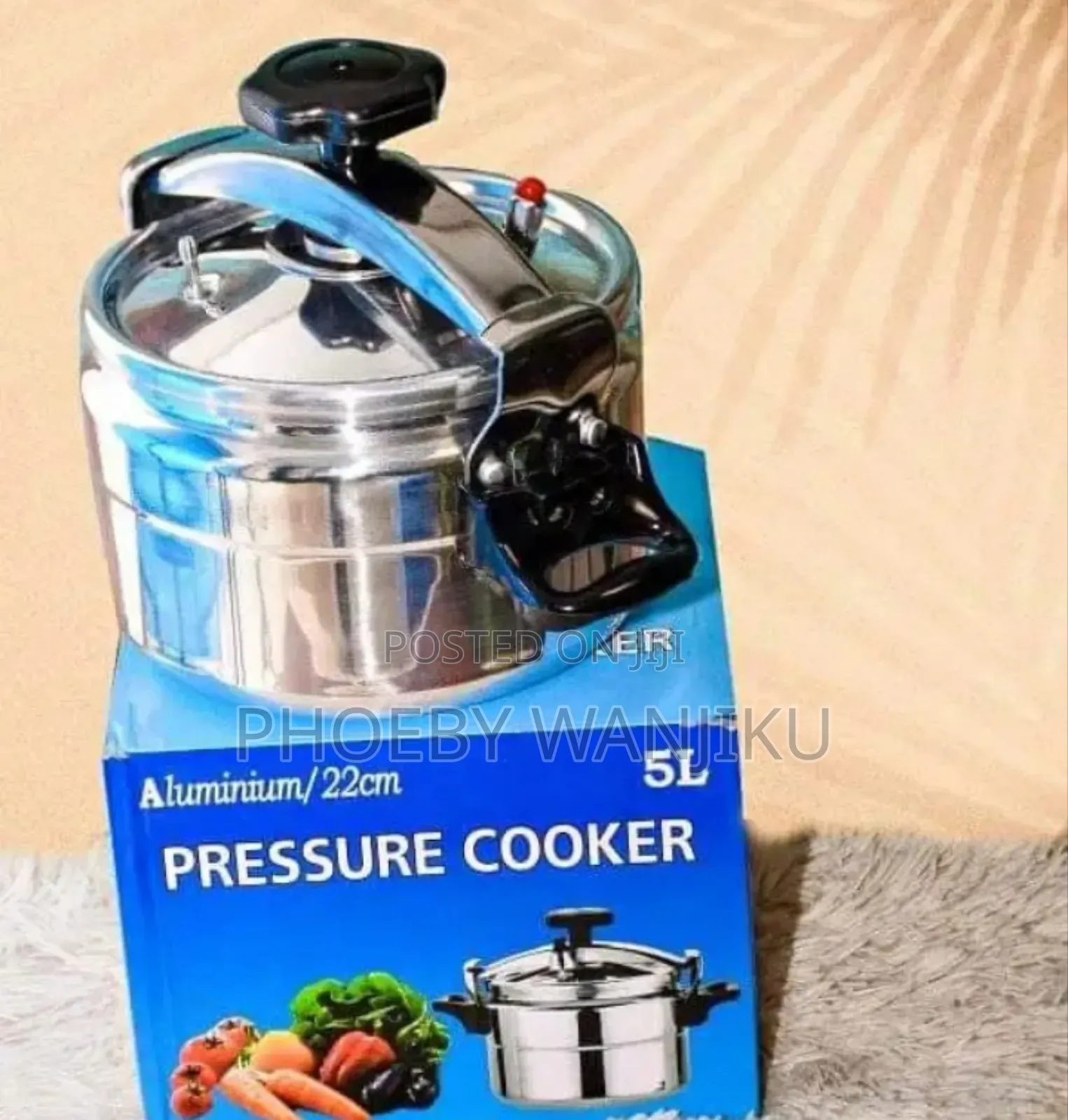 Non Explosive Pressure Cooker 5l