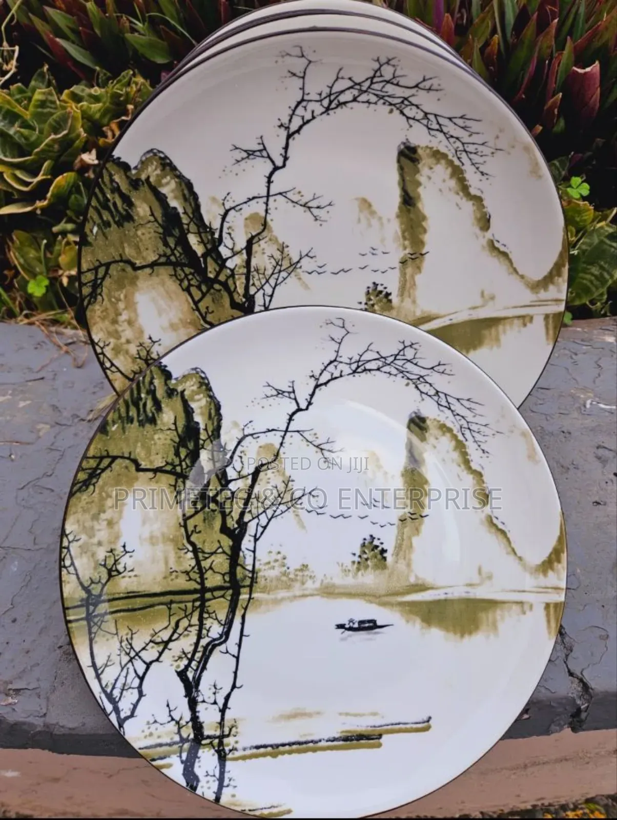 6 PCS Ceramic Plates Design