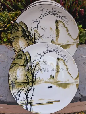 6 PCS Ceramic Plates Design