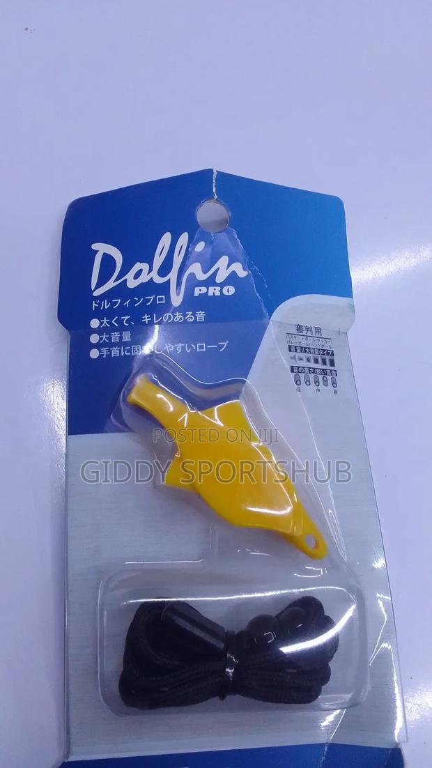 Dolphin Whistle - main view