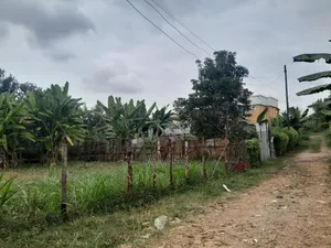 Plot for Sale Located in Kagongo
