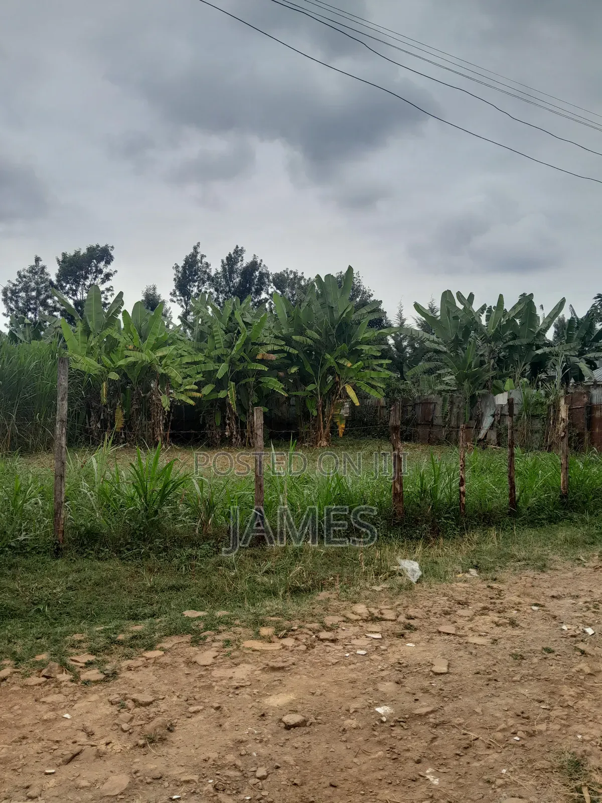 Plot for Sale Located in Kagongo