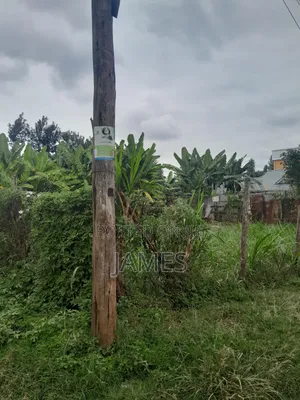 Plot for Sale Located in Kagongo