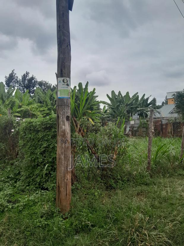 Plot for Sale Located in Kagongo - thumbnail 4