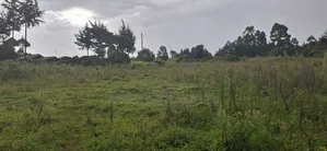 2.5 Acres Land for Sale in Gilgil