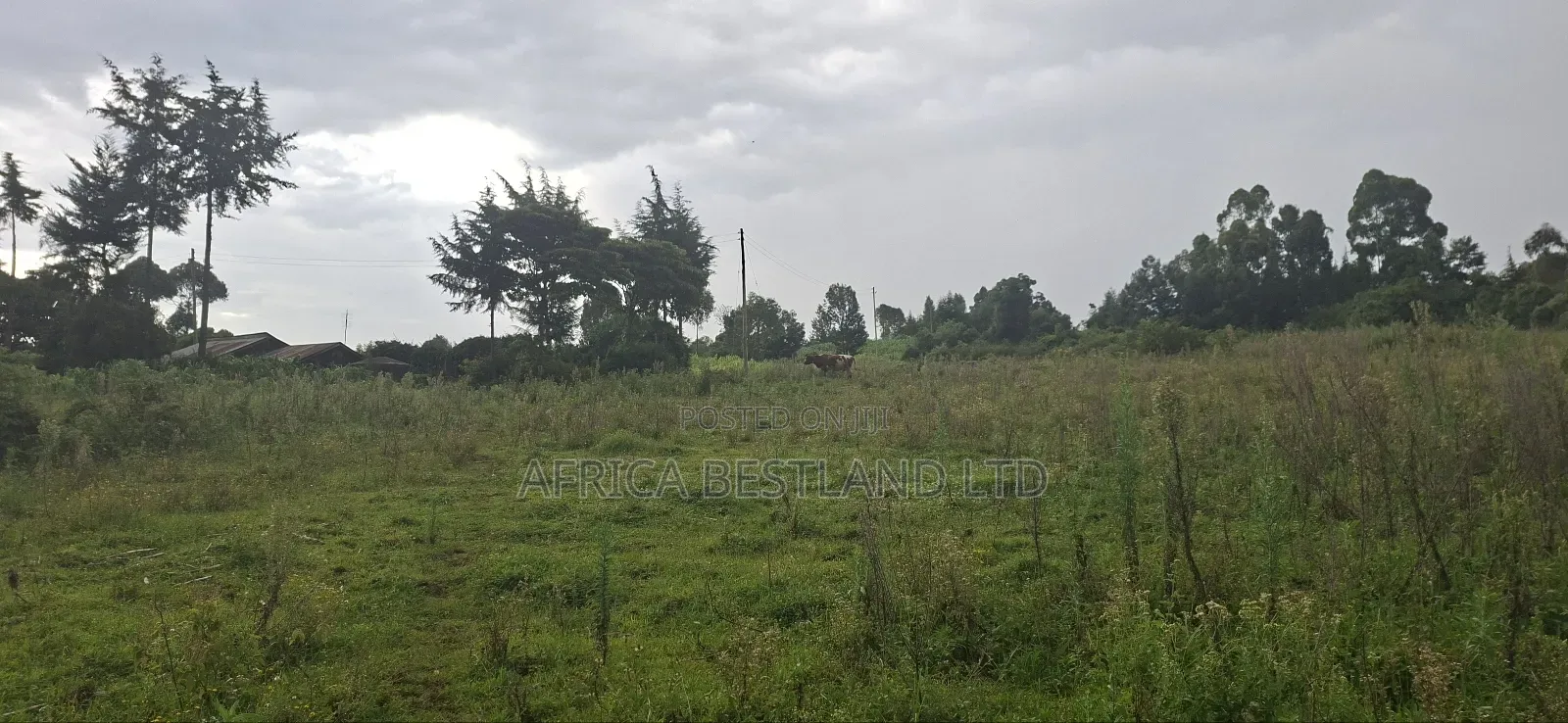 2.5 Acres Land for Sale in Gilgil