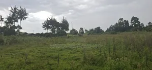2.5 Acres Land for Sale in Gilgil
