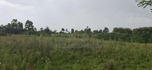 2.5 Acres Land for Sale in Gilgil