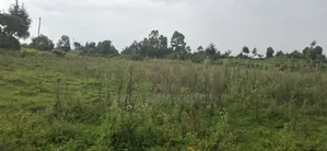2.5 Acres Land for Sale in Gilgil