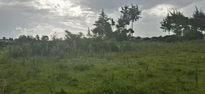 2.5 Acres Land for Sale in Gilgil