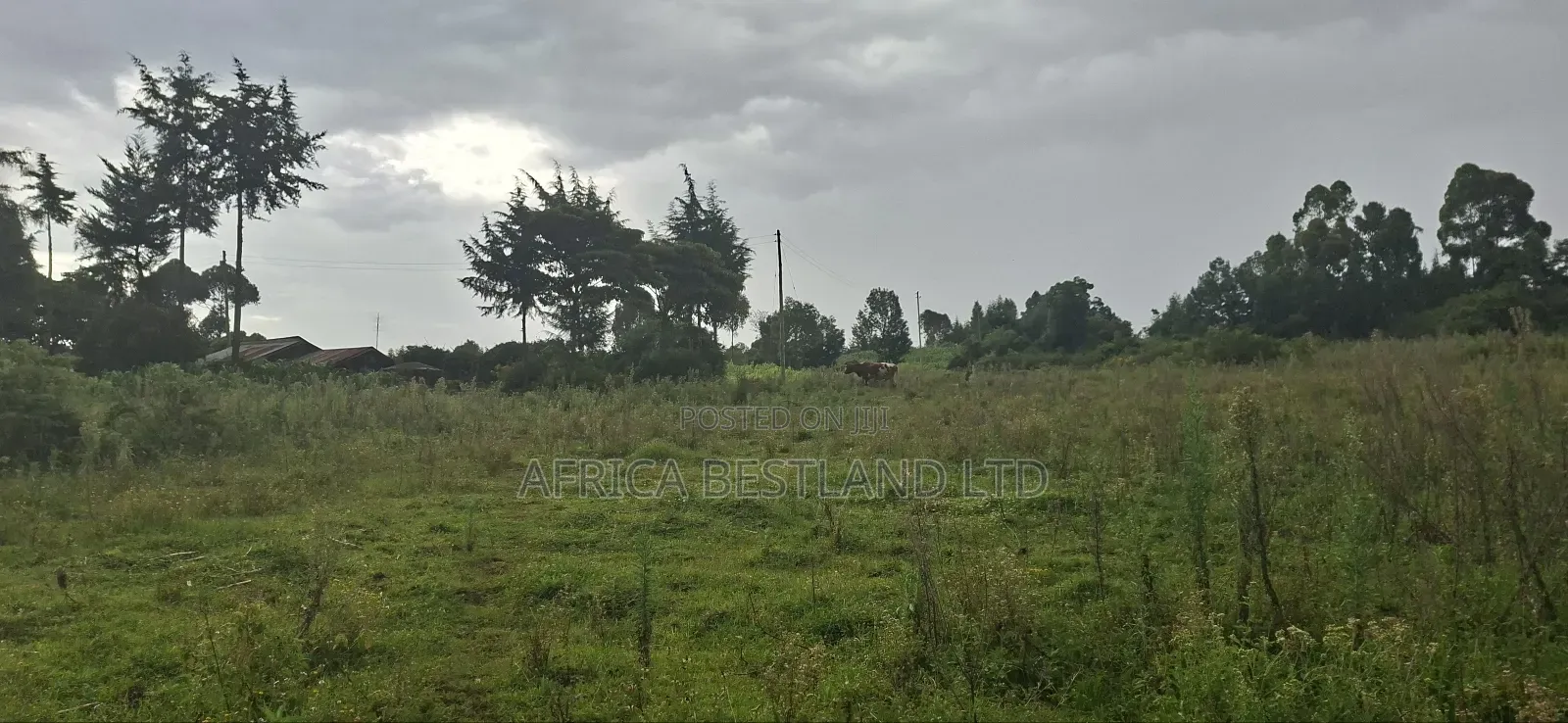 2.5 Acres Land for Sale in Gilgil
