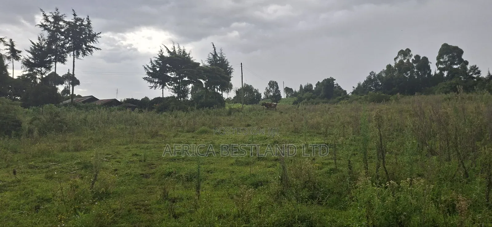 2.5 Acres Land for Sale in Gilgil