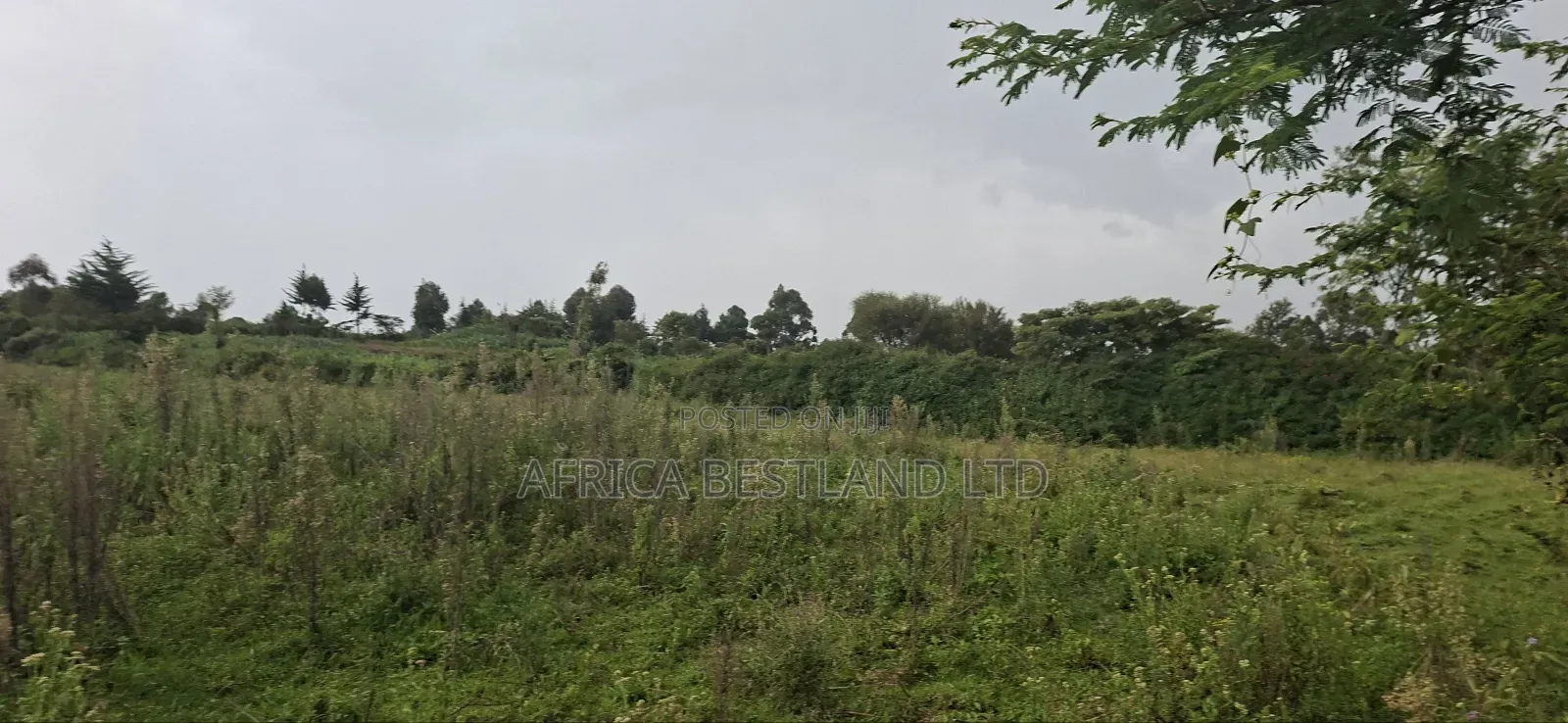 2.5 Acres Land for Sale in Gilgil