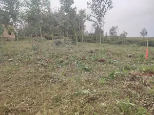 6 Acre Subdivided in 50x100 Plots for Sale in Kikuyu, Thigio