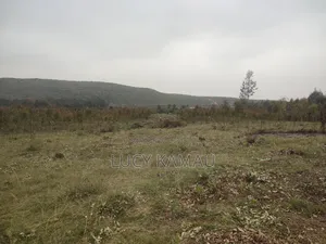 6 Acre Subdivided in 50x100 Plots for Sale in Kikuyu, Thigio