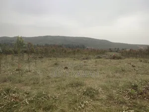 6 Acre Subdivided in 50x100 Plots for Sale in Kikuyu, Thigio