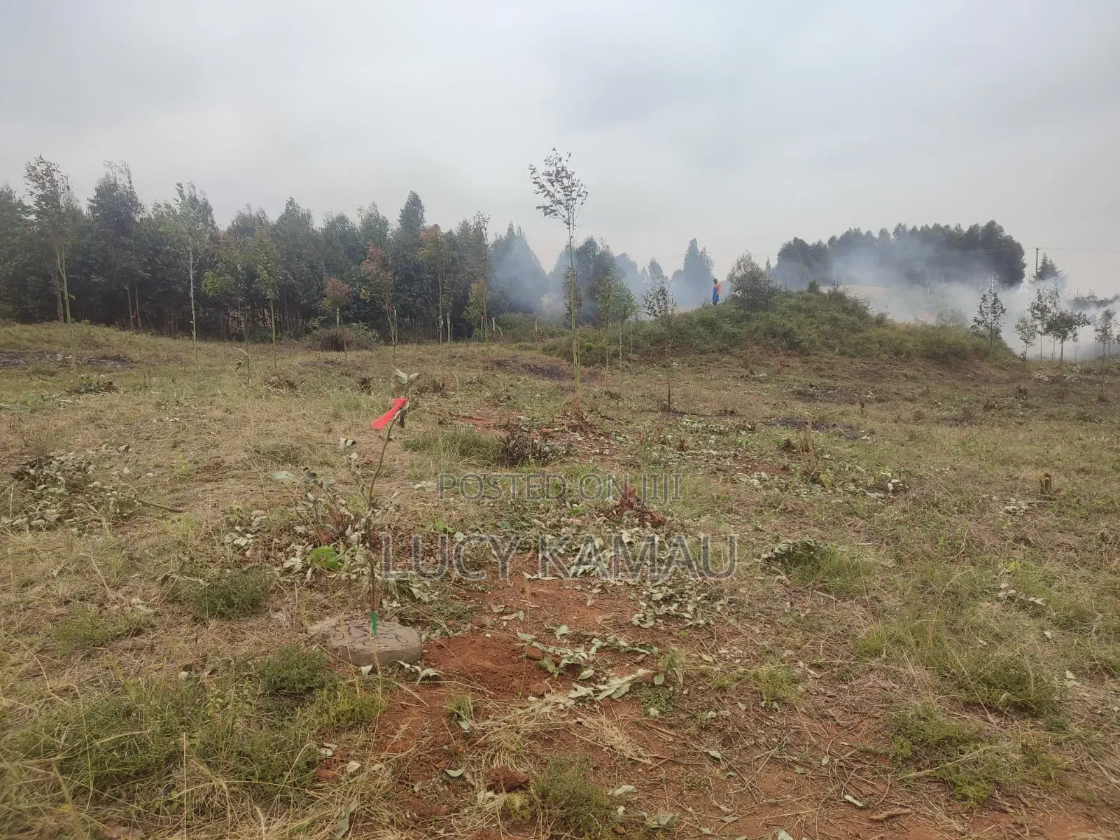 6 Acre Subdivided in 50x100 Plots for Sale in Kikuyu, Thigio
