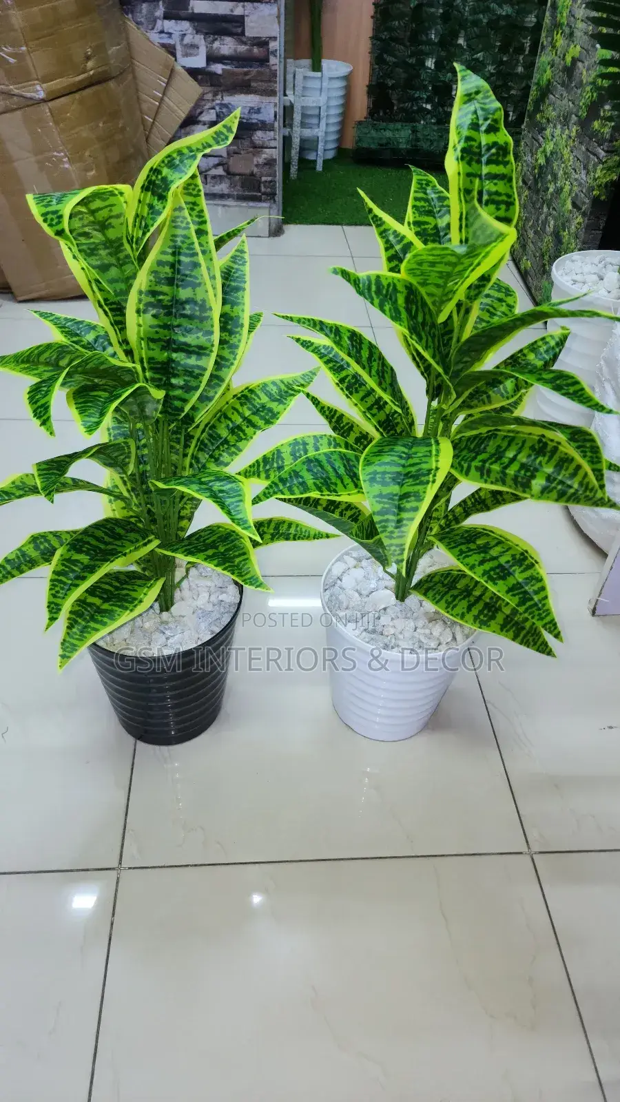 Artificial Snake Plant