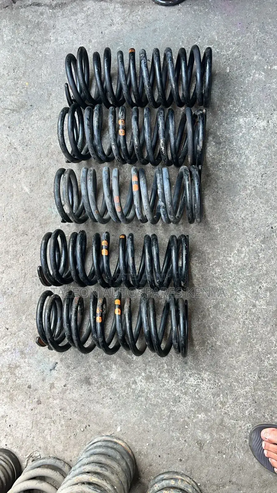 Toyota Noah 2012 Rear Coil Springs